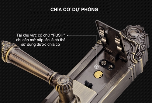 Khóa vân tay tân cổ điển Kaadas 6002