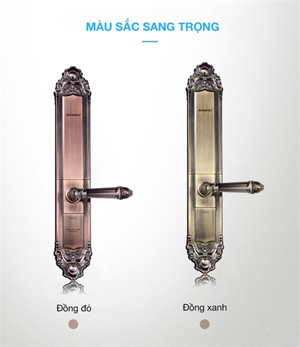 Khóa vân tay tân cổ điển Kaadas 6002