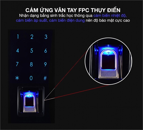 Khóa vân tay tân cổ điển Kaadas 6002