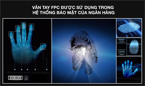 Khóa vân tay tân cổ điển Kaadas 6002
