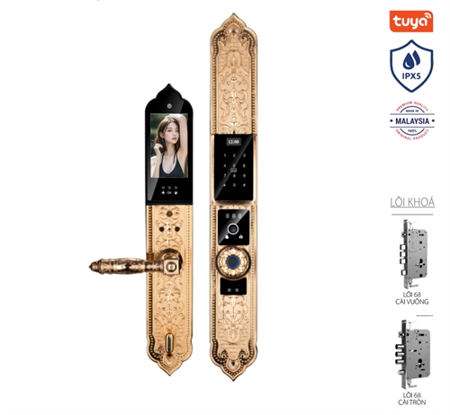 Khoá cửa vân tay tân cổ Avolock AC-996F-G thông minh có Face ID, App wifi