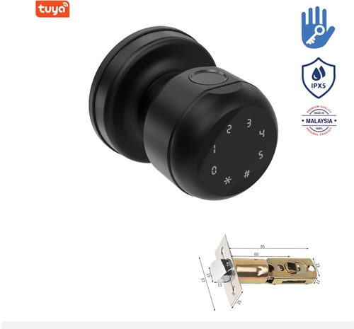 Khoá tay nắm tròn vân tay Avolock AT-104-B App wifi