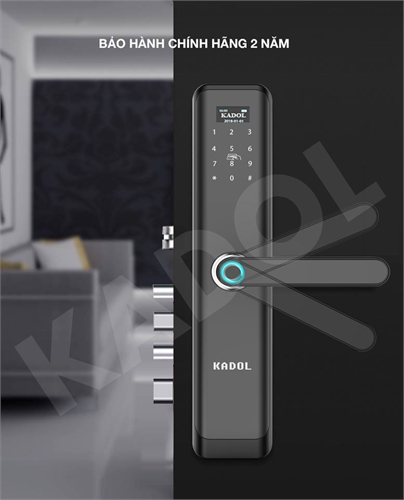 KADOL KD-FP19