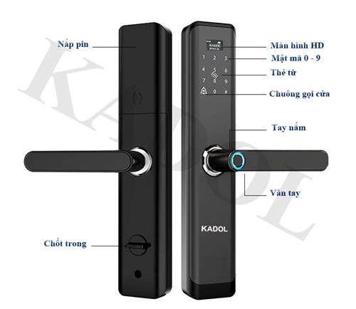 KADOL KD-FP19