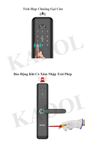 KADOL KD-FP19