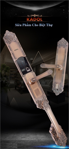 KADOL KD-VL8000