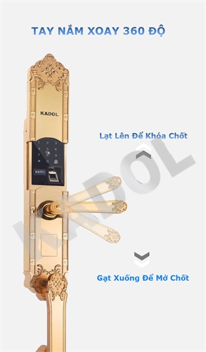 KADOL KD-VL8000