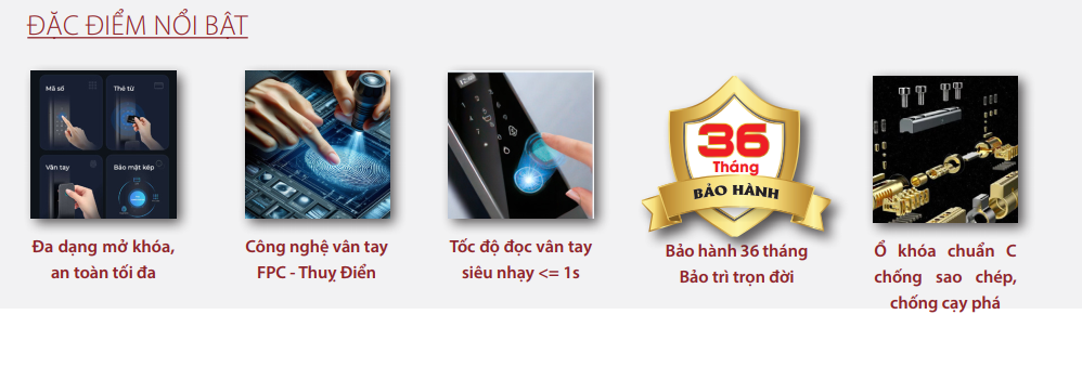 đặc điểm nổi bật
