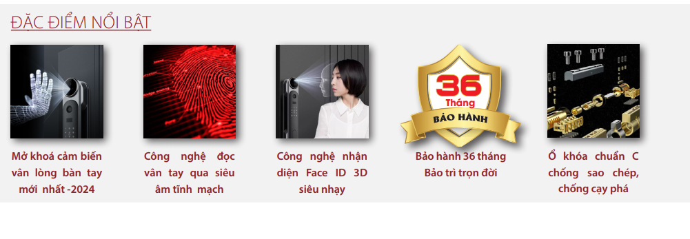 đặc điểm nổi bật