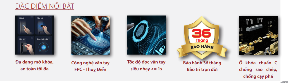 đặc điểm nổi bật